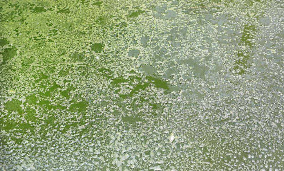 深圳水質(zhì)檢測 深圳水質(zhì)檢測