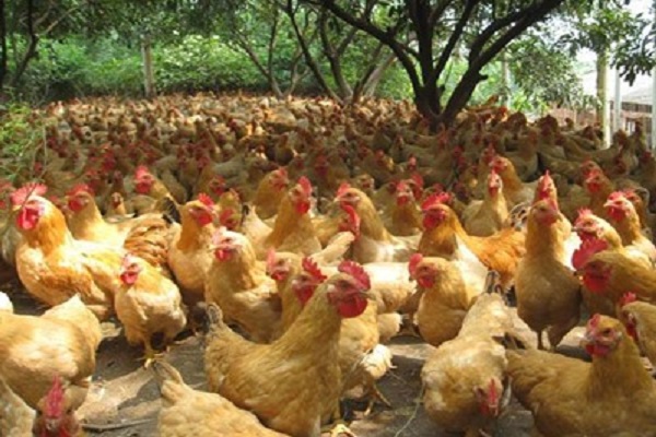 深圳市噪音檢測機構(gòu) 深圳市噪音檢測機構(gòu)