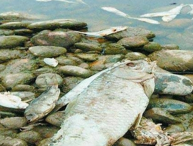 深圳水質(zhì)檢測 深圳水質(zhì)檢測