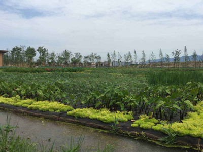 深圳水質(zhì)檢測 深圳水質(zhì)檢測