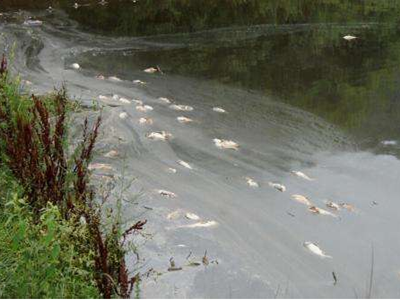 深圳水質(zhì)檢測(cè) 深圳水質(zhì)檢測(cè)