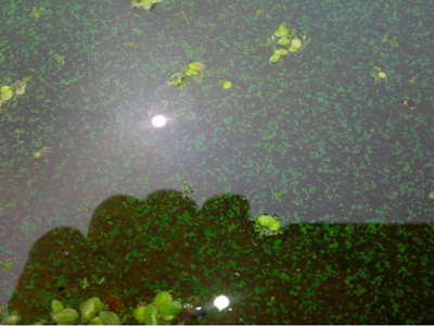 深圳水質(zhì)檢測機構 深圳水質(zhì)檢測機構