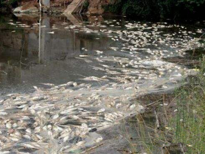 深圳水質(zhì)檢測 深圳水質(zhì)檢測