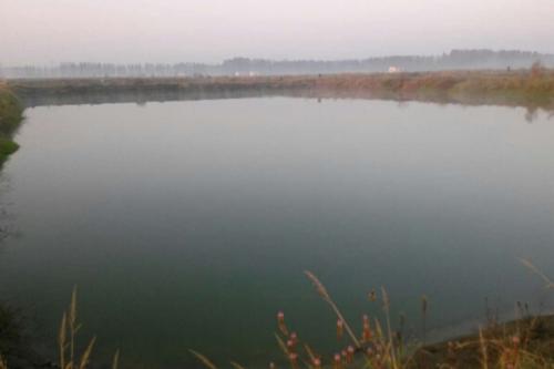 深圳水質(zhì)檢測 深圳水質(zhì)檢測