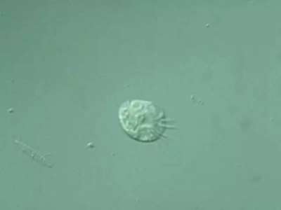 深圳飲用水檢測(cè) 深圳飲用水檢測(cè)